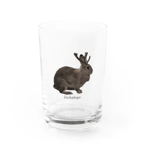 未確認動物 Water Glass