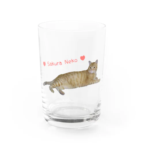 チャトラまったり🐾（さくら猫） Water Glass