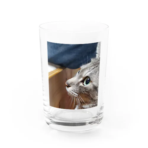 みみちゃん Water Glass