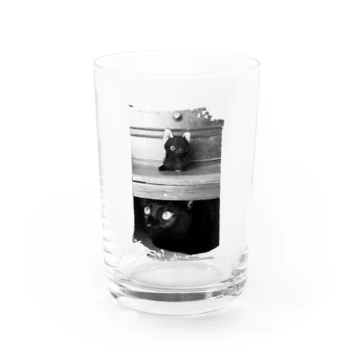 箪笥のKURONEKO Water Glass