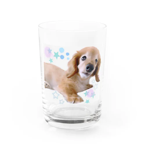 むーてぃー ୨୧⑅︎* Water Glass