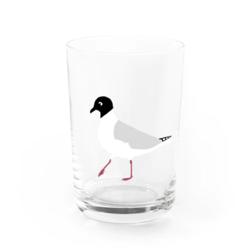 ズグロカモメ Water Glass