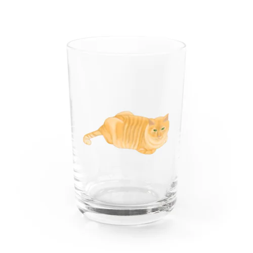 茶トラ猫のコップ Water Glass