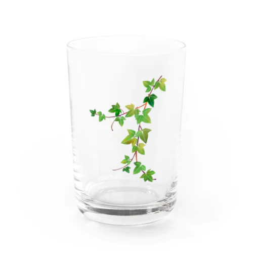 アイビー Water Glass