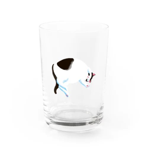 昼寝中（黒） Water Glass