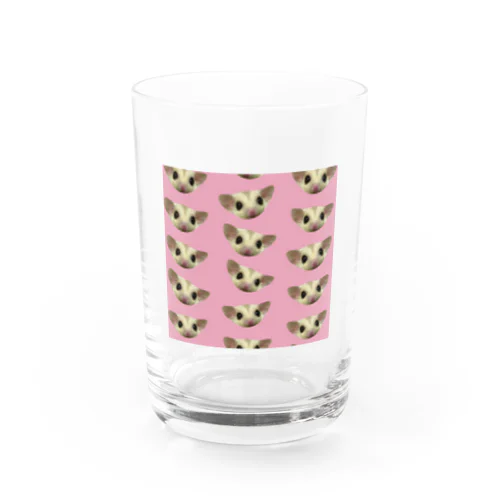 フクモモきなこ♥ Water Glass