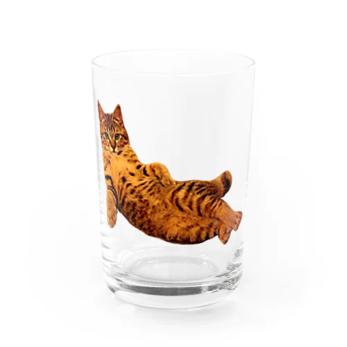 Elegant Cat ① Water Glass