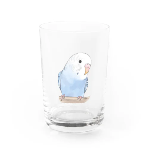 おしゃまな止まり木セキセイインコちゃん【まめるりはことり】 Water Glass