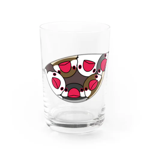 三密です！むちむち文鳥さん【まめるりはことり】 Water Glass