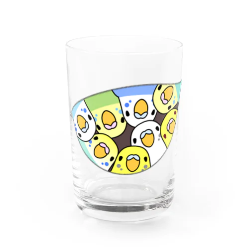 三密です！むちむちセキセイインコさん【まめるりはことり】 Water Glass