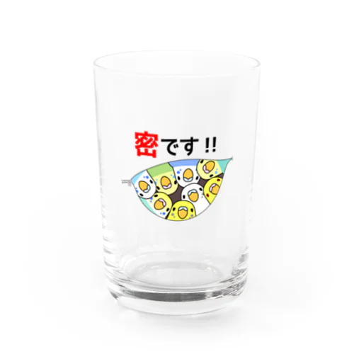 密です！セキセイインコさん【まめるりはことり】 Water Glass