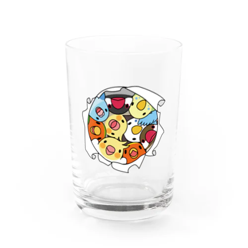 三密です！むちむち鳥まみれ【まめるりはことり】 Water Glass