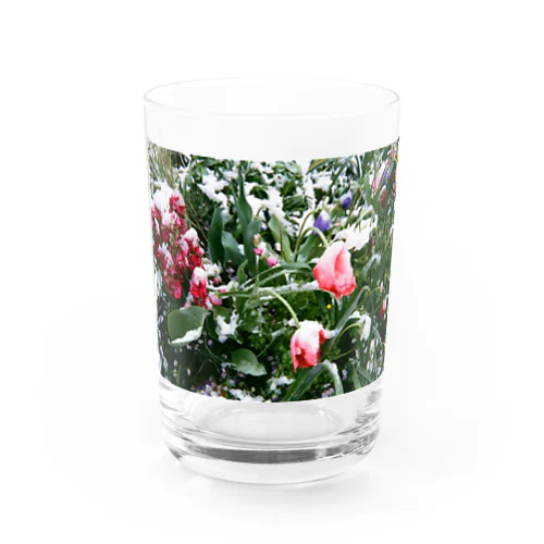 雪の花 Water Glass