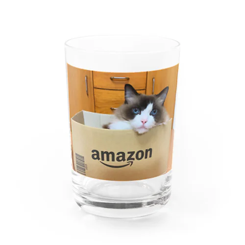 Amazon-cat Water Glass