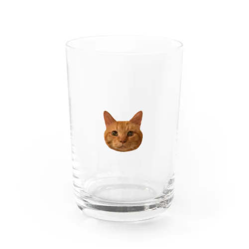 茶トラぴっちゃん Water Glass