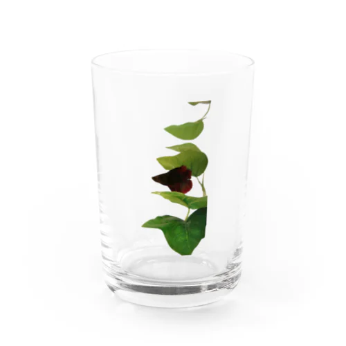 黒いベタ Water Glass