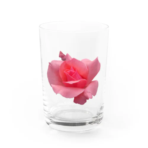 The Rose (Half-blooming) Water Glass