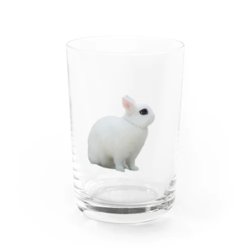 よこむきはるさめちゃん Water Glass