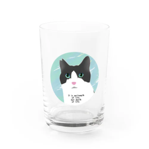 ハチワレ猫山さん2 Water Glass