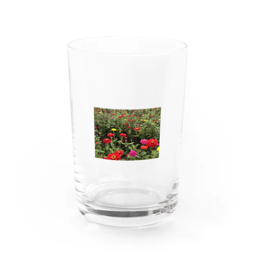 akaihana Water Glass