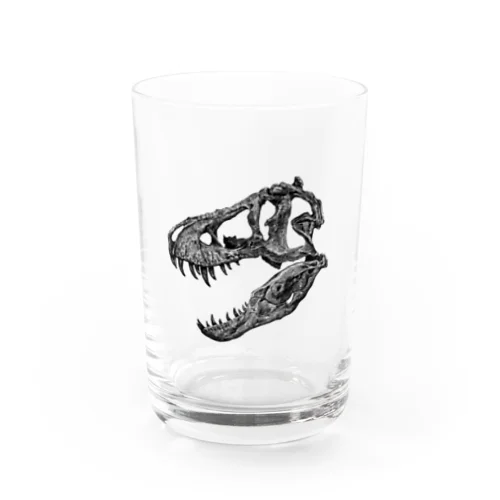 ティラノサウルス 頭骨 Water Glass