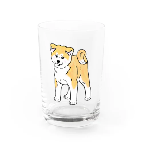 秋田犬の展覧会立ち込み練習 Water Glass