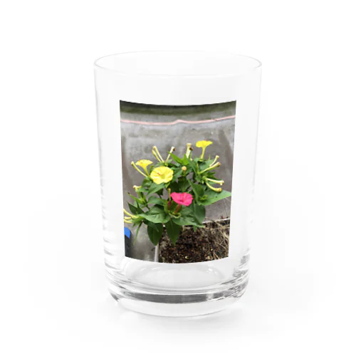 明るい月見草Verミックス Water Glass