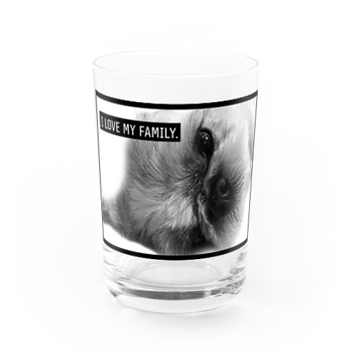 大好きなシーズー Water Glass