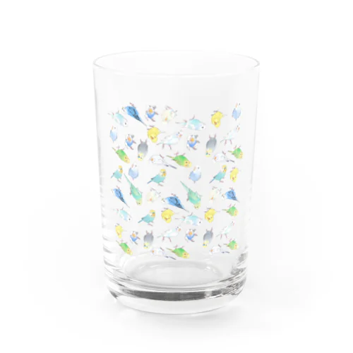 めっちゃセキセイインコちゃん【まめるりはことり】 Water Glass