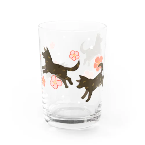 梅と甲斐犬 Water Glass