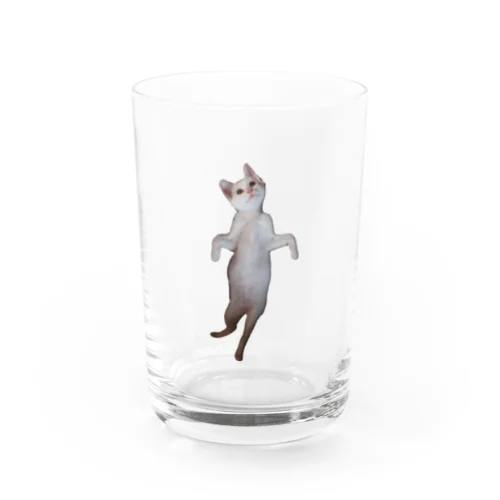 クリオネコ Water Glass