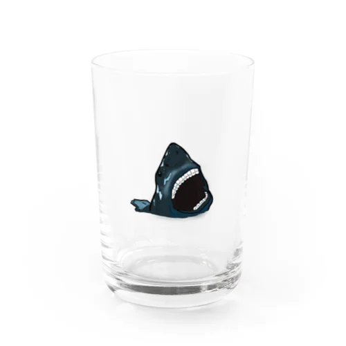 牙 矯正中  サメ Water Glass