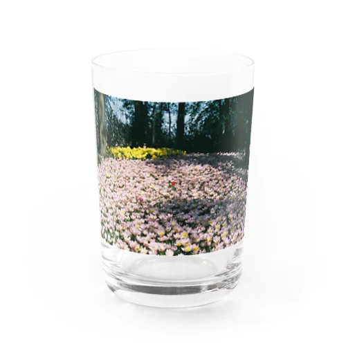 a Water Glass