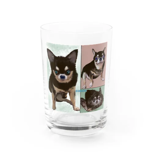 犬のチワワちゃんシリーズ　その4 Water Glass