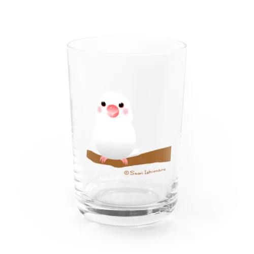 ポチャ白文鳥ちゃん　背景透過版 Water Glass