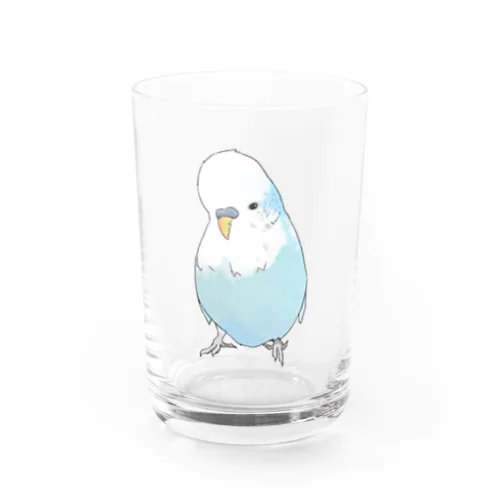 可愛いジャンボセキセイインコ【まめるりはことり】 Water Glass