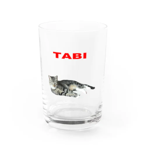 tabibi Water Glass
