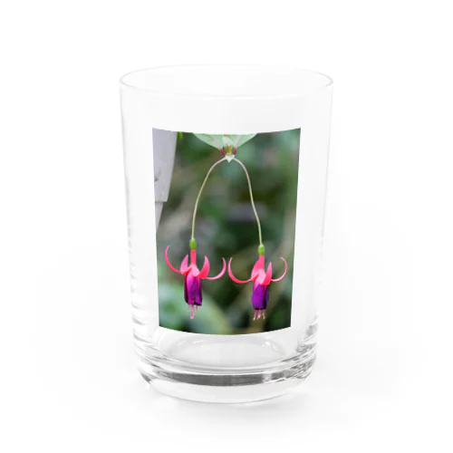 フクシア“チャーミング” Water Glass