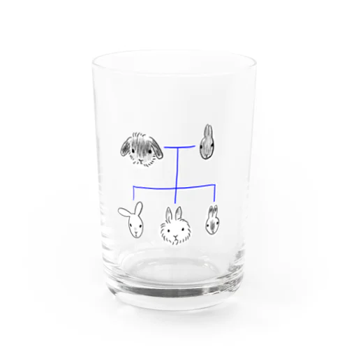 うさぎ家系図 Water Glass