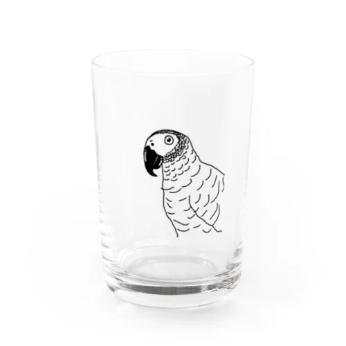 ヨウムくん Water Glass