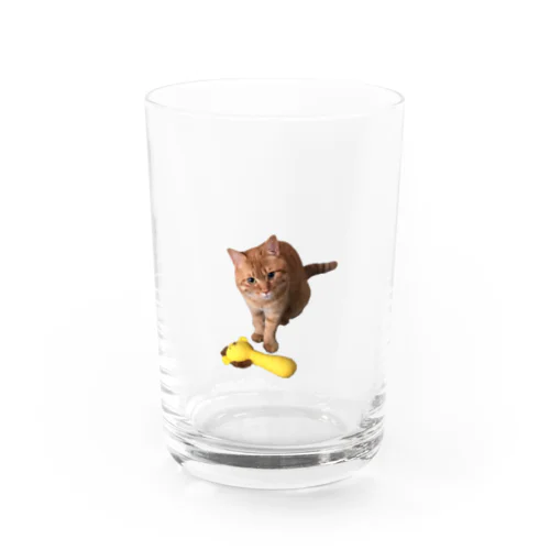 おかきちんとライオン丸 Water Glass