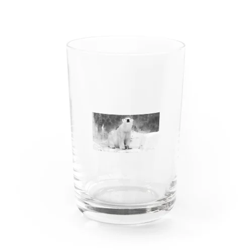 おすわりシロクマくん Water Glass