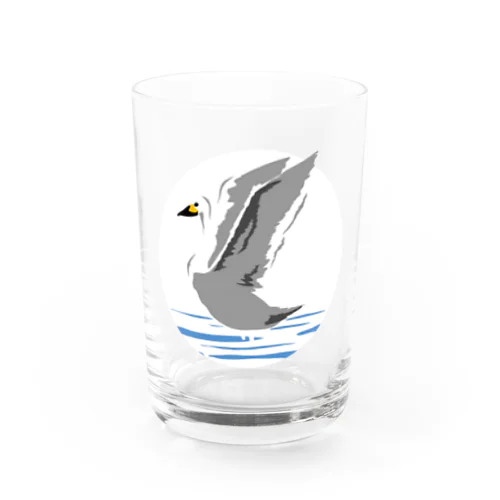 白鳥の飛び立ち Water Glass