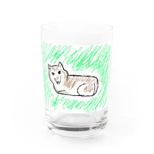 柴犬戦士Shiba Water Glass