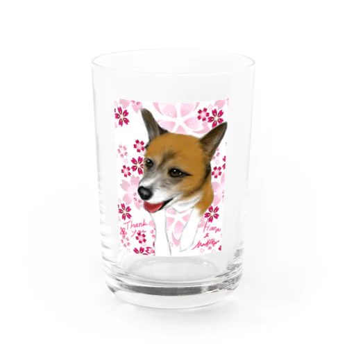 ハナちゃん Water Glass