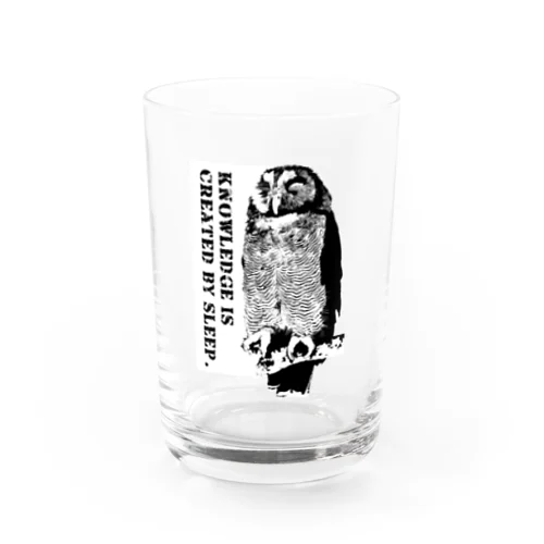 Sleeping owl Water Glass