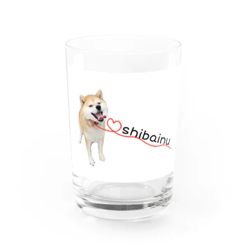 柴犬　ハナ Water Glass