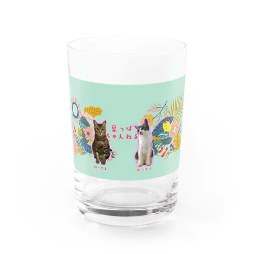 葉っぱ猫たちの葉っぱまみれ Water Glass