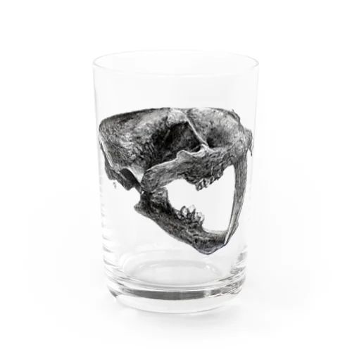 スミロドン（頭の骨） グラス