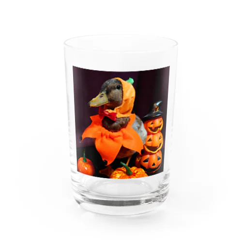 ハロウィン鈴乃丞 Water Glass